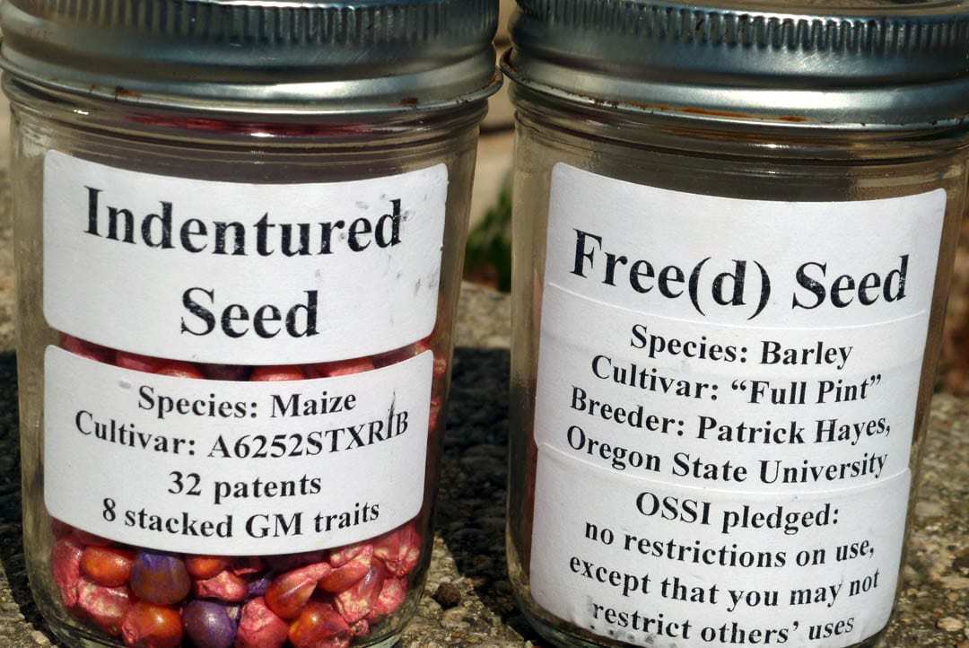 open source seed initiative